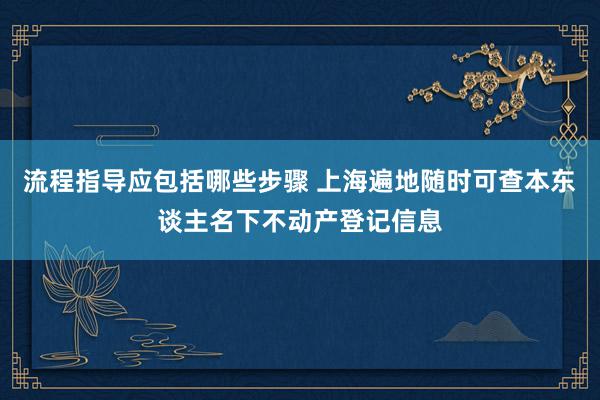 流程指导应包括哪些步骤 上海遍地随时可查本东谈主名下不动产登记信息