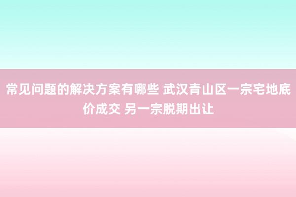 常见问题的解决方案有哪些 武汉青山区一宗宅地底价成交 另一宗脱期出让