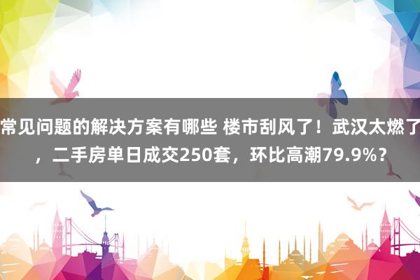 常见问题的解决方案有哪些 楼市刮风了！武汉太燃了，二手房单日成交250套，环比高潮79.9%？