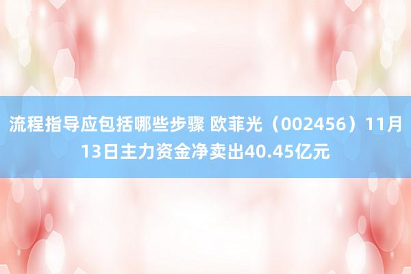 流程指导应包括哪些步骤 欧菲光（002456）11月13日主力资金净卖出40.45亿元