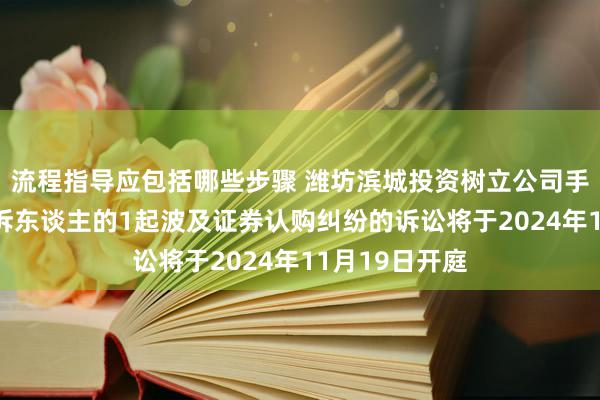 流程指导应包括哪些步骤 潍坊滨城投资树立公司手脚被告/被上诉东谈主的1起波及证券认购纠纷的诉讼将于2024年11月19日开庭