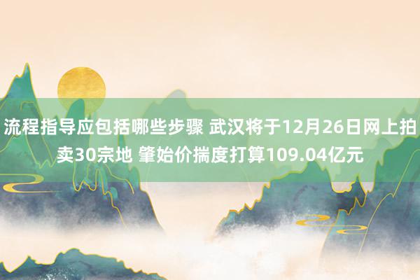 流程指导应包括哪些步骤 武汉将于12月26日网上拍卖30宗地 肇始价揣度打算109.04亿元