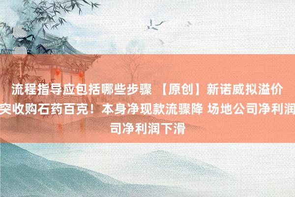 流程指导应包括哪些步骤 【原创】新诺威拟溢价近唐突收购石药百克！本身净现款流骤降 场地公司净利润下滑