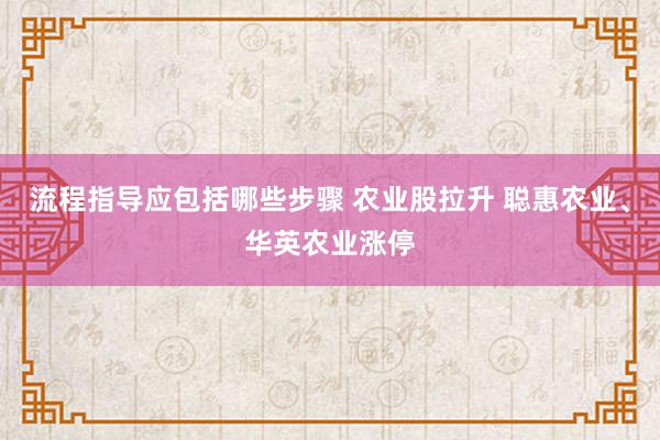 流程指导应包括哪些步骤 农业股拉升 聪惠农业、华英农业涨停