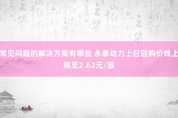 常见问题的解决方案有哪些 永泰动力上召回购价钱上限至2.62元/股