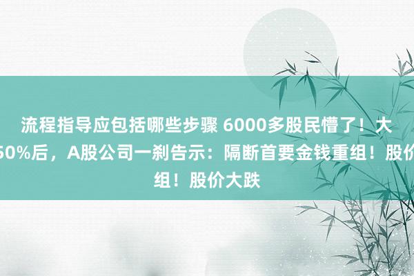 流程指导应包括哪些步骤 6000多股民懵了！大涨近50%后，A股公司一刹告示：隔断首要金钱重组！股价大跌