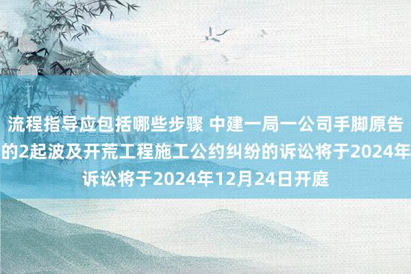 流程指导应包括哪些步骤 中建一局一公司手脚原告/上诉东说念主的2起波及开荒工程施工公约纠纷的诉讼将于2024年12月24日开庭