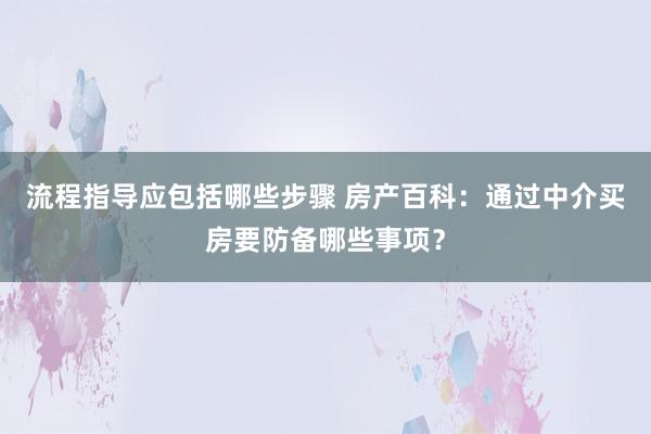 流程指导应包括哪些步骤 房产百科：通过中介买房要防备哪些事项？