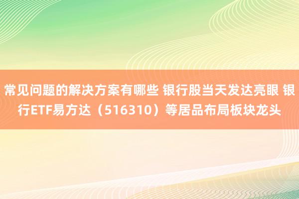 常见问题的解决方案有哪些 银行股当天发达亮眼 银行ETF易方达（516310）等居品布局板块龙头