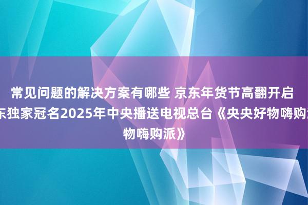 常见问题的解决方案有哪些 京东年货节高翻开启 京东独家冠名2025年中央播送电视总台《央央好物嗨购派》