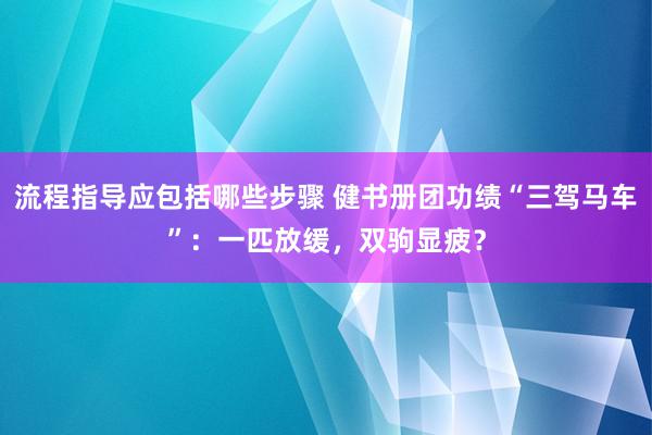 流程指导应包括哪些步骤 健书册团功绩“三驾马车”：一匹放缓，双驹显疲？