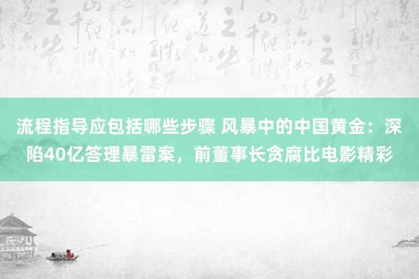 流程指导应包括哪些步骤 风暴中的中国黄金：深陷40亿答理暴雷案，前董事长贪腐比电影精彩