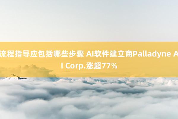 流程指导应包括哪些步骤 AI软件建立商Palladyne AI Corp.涨超77%