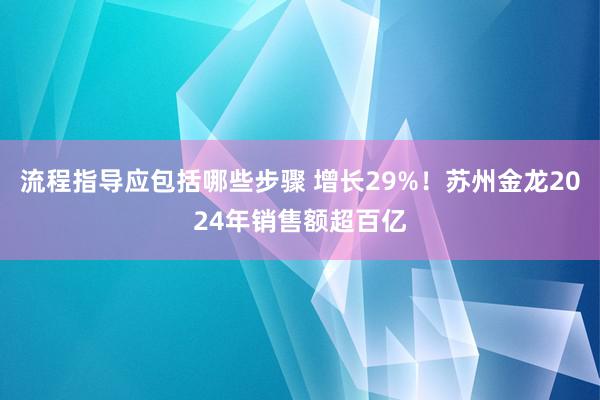 流程指导应包括哪些步骤 增长29%！苏州金龙2024年销售额超百亿