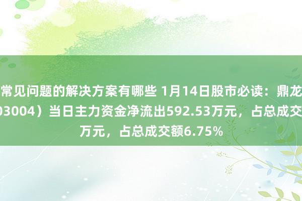 常见问题的解决方案有哪些 1月14日股市必读：鼎龙科技（603004）当日主力资金净流出592.53万元，占总成交额6.75%