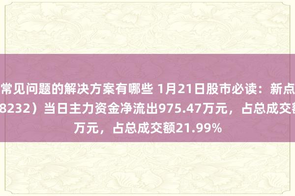 常见问题的解决方案有哪些 1月21日股市必读：新点软件（688232）当日主力资金净流出975.47万元，占总成交额21.99%