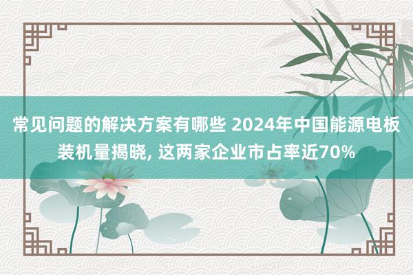 常见问题的解决方案有哪些 2024年中国能源电板装机量揭晓, 这两家企业市占率近70%