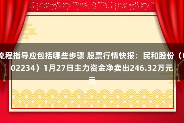 流程指导应包括哪些步骤 股票行情快报：民和股份（002234）1月27日主力资金净卖出246.32万元