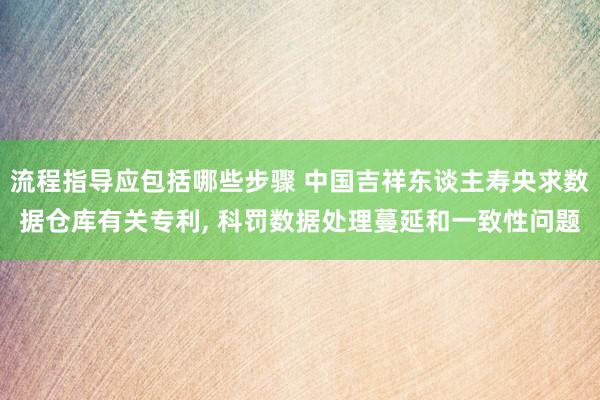 流程指导应包括哪些步骤 中国吉祥东谈主寿央求数据仓库有关专利, 科罚数据处理蔓延和一致性问题