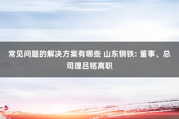 常见问题的解决方案有哪些 山东钢铁: 董事、总司理吕铭离职