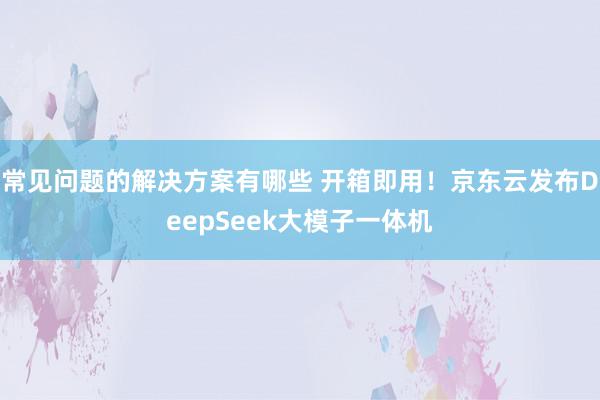 常见问题的解决方案有哪些 开箱即用！京东云发布DeepSeek大模子一体机