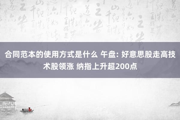 合同范本的使用方式是什么 午盘: 好意思股走高技术股领涨 纳指上升超200点