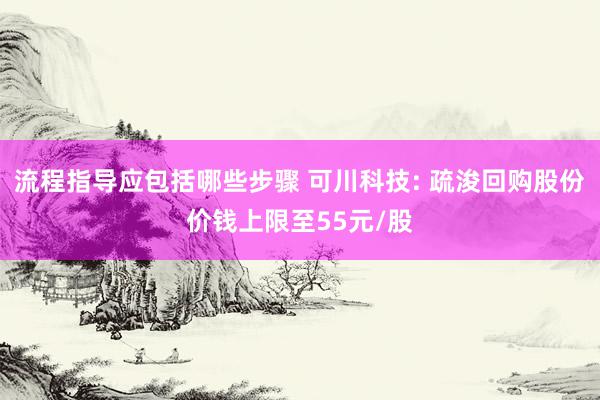 流程指导应包括哪些步骤 可川科技: 疏浚回购股份价钱上限至55元/股