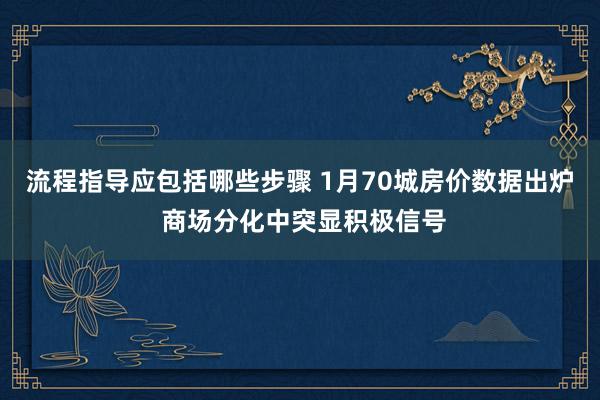 流程指导应包括哪些步骤 1月70城房价数据出炉 商场分化中突显积极信号