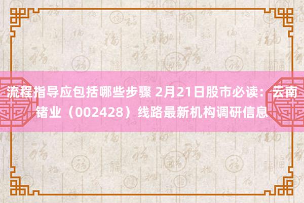 流程指导应包括哪些步骤 2月21日股市必读：云南锗业（002428）线路最新机构调研信息