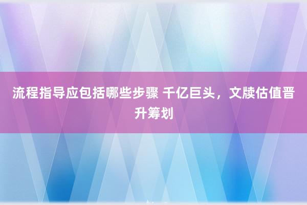 流程指导应包括哪些步骤 千亿巨头，文牍估值晋升筹划