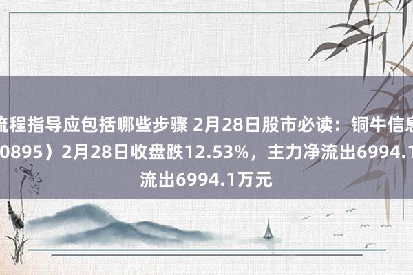 流程指导应包括哪些步骤 2月28日股市必读：铜牛信息（300895）2月28日收盘跌12.53%，主力净流出6994.1万元