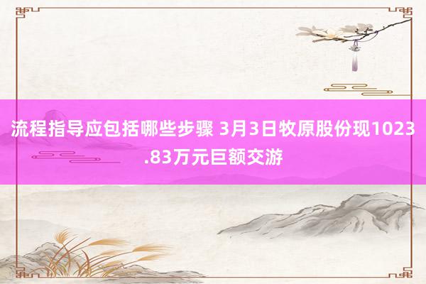 流程指导应包括哪些步骤 3月3日牧原股份现1023.83万元巨额交游