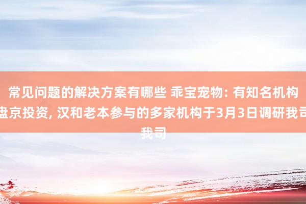 常见问题的解决方案有哪些 乖宝宠物: 有知名机构盘京投资, 汉和老本参与的多家机构于3月3日调研我司