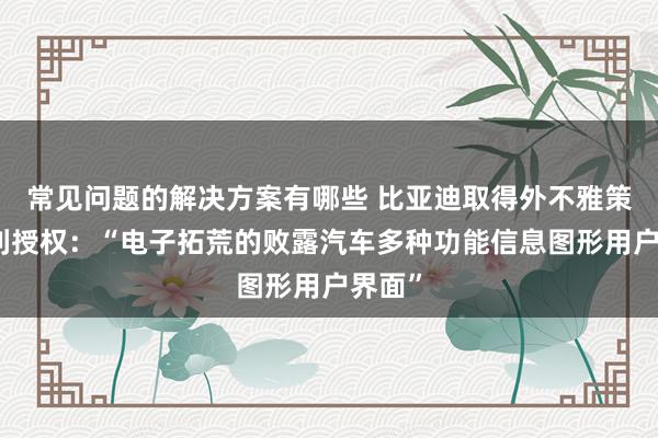 常见问题的解决方案有哪些 比亚迪取得外不雅策划专利授权：“电子拓荒的败露汽车多种功能信息图形用户界面”