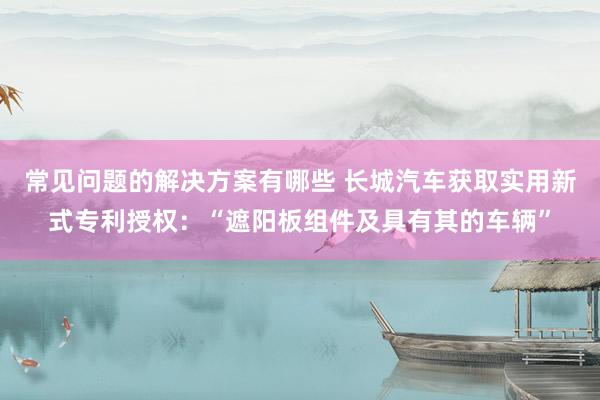 常见问题的解决方案有哪些 长城汽车获取实用新式专利授权：“遮阳板组件及具有其的车辆”