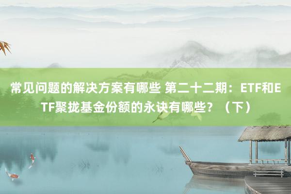 常见问题的解决方案有哪些 第二十二期：ETF和ETF聚拢基金份额的永诀有哪些？（下）