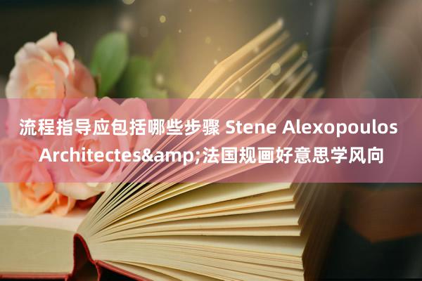 流程指导应包括哪些步骤 Stene Alexopoulos Architectes&法国规画好意思学风向