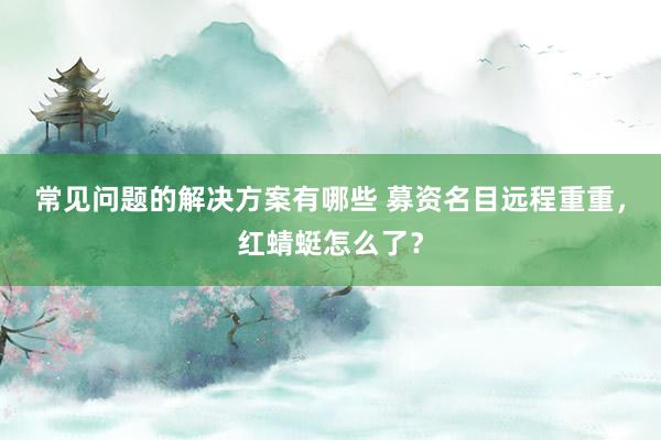 常见问题的解决方案有哪些 募资名目远程重重，红蜻蜓怎么了？